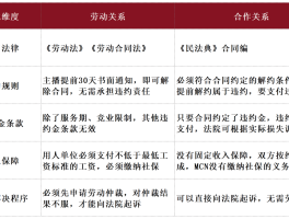 专业文章丨 网红经济下的“法律罗生门”